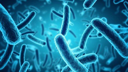 Whitepaper Ontdek de 9 beheersmaatregelen van Listeria monocytogenes