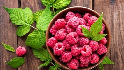 De voortgang en bloei van Fruitful-Berries: Voor, tijdens en na de ERP implementatie