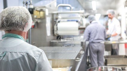 Verbod op uitzendkrachten in vleesindustrie