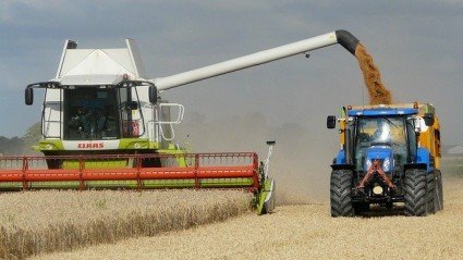 Roemenië vraagt landbouwsubsidie aan met behulp van AI